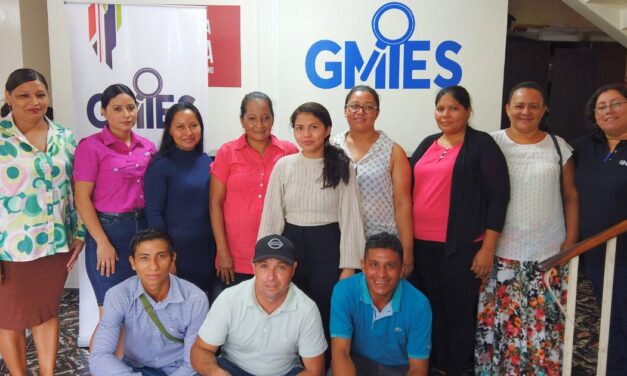 GMIES – Proceso de regularización