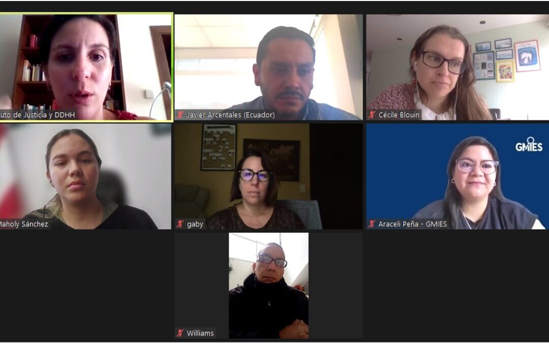 Panel sobre virtual sobre acceso a la justicia de migrantes