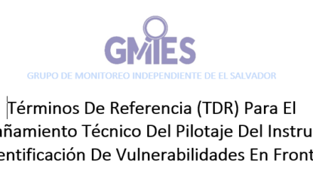 TDR – Para El Acompañamiento Técnico Del Pilotaje Del Instrumento De Identificación De Vulnerabilidades En Fronteras