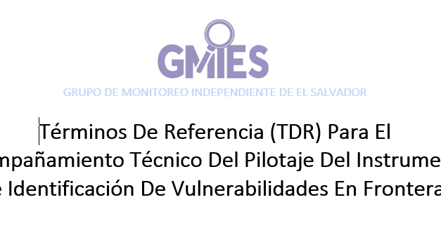 TDR – Para El Acompañamiento Técnico Del Pilotaje Del Instrumento De Identificación De Vulnerabilidades En Fronteras