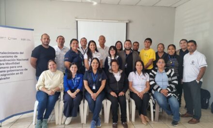 GMIES participa en talleres de consulta intersectorial de seguimiento al FEMI
